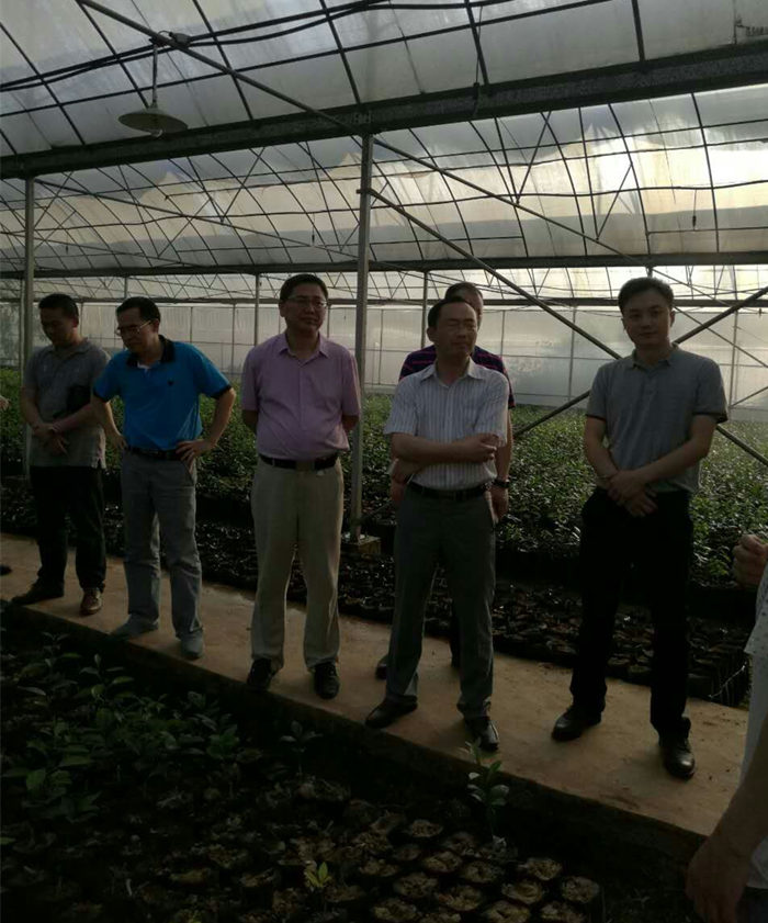 園區(qū)企業(yè)走訪調(diào)研 院長(zhǎng)李文輝在湖南宜章經(jīng)開區(qū)及農(nóng)業(yè)科技園進(jìn)行調(diào)研