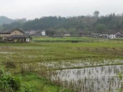 2021年國家現(xiàn)代農(nóng)業(yè)產(chǎn)業(yè)園創(chuàng)建項(xiàng)目申報(bào)即將開始