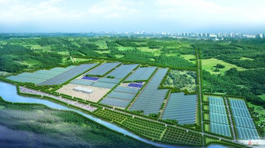 招強引優、延鏈集群，泰安高新區打造新型工業化強市建設“高新樣板”