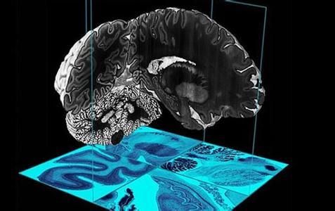 安慶高新區打造生物基合成材料上下游產業鏈