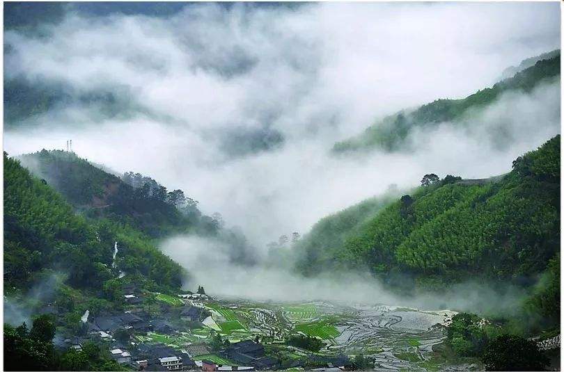 四、農(nóng)村一二三產(chǎn)業(yè)融合發(fā)展先導區(qū)項目