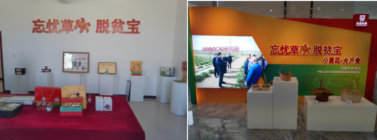 打造農業(yè)綠色發(fā)展典范,云州區(qū)創(chuàng)建國家農業(yè)綠色發(fā)展先行區(qū)勢在必行